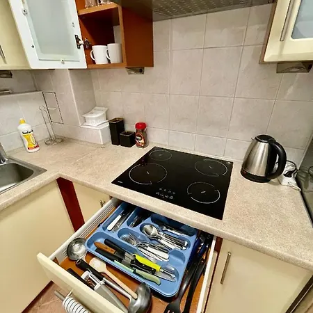 Sushi Metro Wifi 500 Mbs, 70'tv Netflix Appletv+