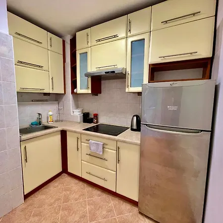 Sushi Metro Wifi 500 Mbs, 70'tv Netflix Appletv+ Apartment