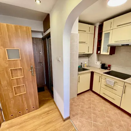 Sushi Metro Wifi 500 Mbs, 70'tv Netflix Appletv+